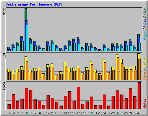 Daily usage for January 2013