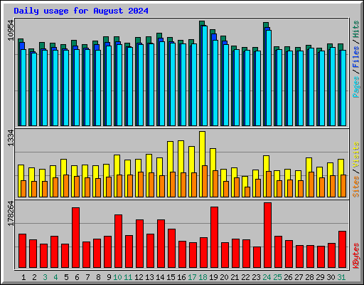 Daily usage for August 2024