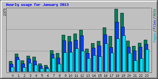 Hourly usage for January 2013