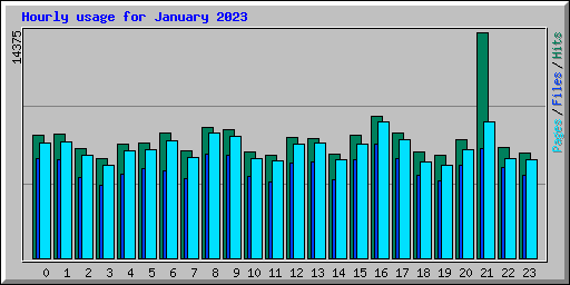 Hourly usage for January 2023