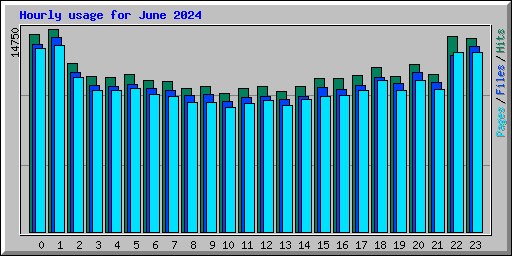 Hourly usage for June 2024