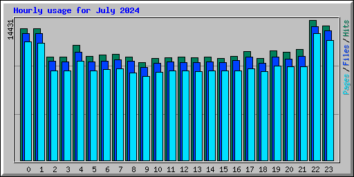 Hourly usage for July 2024