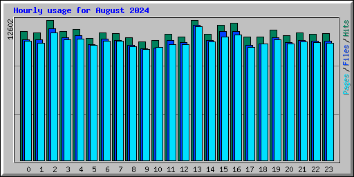 Hourly usage for August 2024